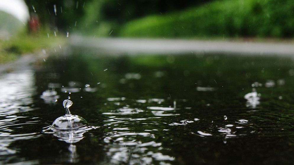 Obwohl Wasser keinen Geruch hat, kann man Regen riechen. Verantwortlich dafür sind Bakterien, die im Boden leben und den Geruch Geosin produzieren.  | Bild: picture alliance/dpa