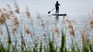 Stand-Up Paddlerin auf einem See - Symbolbild | Bild: picture alliance/Daniel Karmann/dpa