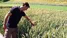 Landwirt begutachtet seinen Weizen | Bild: BR/Gut zu wissen