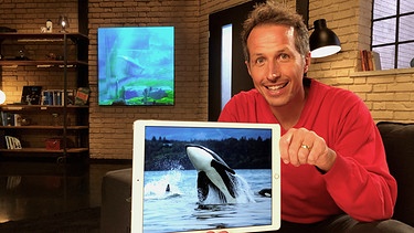 Willi Weitzel hält Tablet in der Hand mit einem Orca-Bild.  | Bild: BR