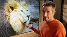 "Gut zu wissen"-Moderator Willi Weitzel zeigt auf ein Bild mit dem Löwen Subali, der im Tiergarten Nürnberg lebt.  | Bild: BR/Gut zu wissen/Jörg Beckmann Tiergarten Nürnberg