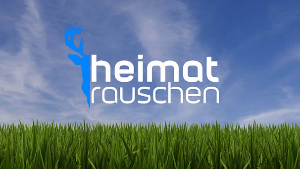 Heimatrauschen Logo mit Wiese und Himmel | Bild: BR