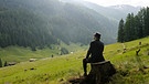Filmszene aus "Ewige Jugend": Fred Ballinger (Michael Caine) dirigiert die Kühe | Bild: Wild Bunch Germany