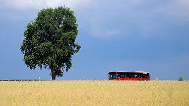 Bus fährt auf einer Landstrasse | Bild: picture alliance/dpa/dpa-Zentralbild | Soeren Stache
