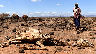 Ein Bauer in Kenia steht vor seinem toten Kamel. | Bild: picture alliance / HELMUT FOHRINGER / APA