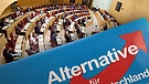 Ein Jahr AfD im Landtag | Bild: picture-alliance/dpa, Montage: BR