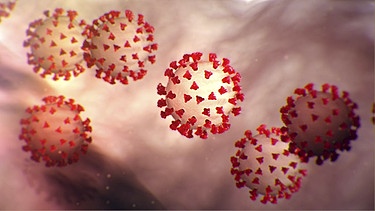 Symbolbild: Corona-Virus | Bild: picture-alliance/dpa