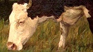 Impressionistische Kuh | Bild: Bayerischer Rundfunk