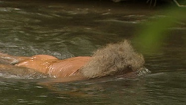 weißhaariger Mann badet nackt | Bild: BR