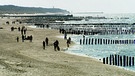 Ein Strand an der Ostsee mit Spaziergängern | Bild: BR