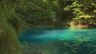 Eine türkisblaue Quelle, die von Bäumen umstehen ist | Bild: BR