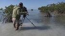 Kameramann Zoltán Török dreht in den Mangroven der Florida Bay. | Bild: BR/doclights/NDR/NDR Naturfilm