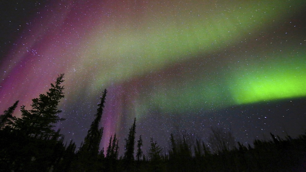 TEXT:Das Polarlicht (auch: Aurora borealis) entsteht durch das Auftreffen geladener Teilchen des Sonnenwindes auf die Erdatmosphäre.
| Bild: BR/doclights/NDR/NDR Naturfilm/Uwe Anders