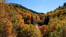 Während der letzten warmen Tage im Jahr sind die Great Smoky Mountains in alle nur erdenklichen Farbtöne getaucht. Die Herbstfarben sind eine spektakuläre Sehenswürdigkeit in den südlichen Appalachen.
| Bild: BR/Doclights GmbH/NDR