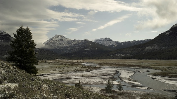 Die beeindruckende Wildnis des Yellowstone Nationalparks existiert heute nur, weil sie seit fast 150 Jahren unter Schutz steht. | Bild: BR/Doclights/NDR