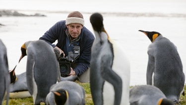 Pinguine, Insel Südgeorgien | Bild: BR/Ingo Arndt
