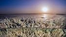 Der Baue Planet 3 - Faszination Korallenriff | Bild: WDR / BBC