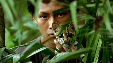 Falton zeigt der kleinen Katze Freund und Feind im Urwald Guyanas. | Bild: BR/Marion Pöllmann