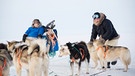 Schlittenhunde in Grönland | Bild: Catherina Conrad 