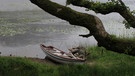 Shannon - Fluss in Irland | Bild: BR/Crossing the Line