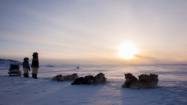 Jäger des Lichts - Grönland | Bild: Catherina Conrad 