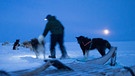 Mit Schlittenhunden nachts in Grönland | Bild: Catherina Conrad 