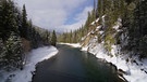 Wasser ist der Lebensquell des kanadischen Schwarzwald. Die Kaltregenwälder sind durchflossen von Bächen und Flüssen. | Bild: Medienproduktion