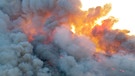 Wildnis Nordamerikas: Feuer in den Everglades | Bild: WDR/WDR/Discovery Channel