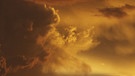 Wildnis Nordamerika: Wetterumschwung in der Wüste | Bild: WDR/WDR/Discovery Channel