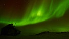Nordlicht in Grönland | Bild: Catherina Conrad 