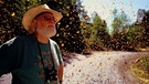 Schmetterlingsforscher Robert Michael Pyle, umgeben von Monarchfaltern. | Bild: BR/Klaus Miebach