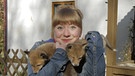Wie schlau ist der Fuchs?/Paula und zwei junge Füchse | Bild: TEXT + BILD Medienproduktion