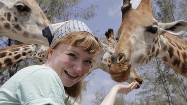 Kopf hoch, Giraffe! / Paula mit Giraffen im Hallerpark | Bild: TEXT + BILD Medienproduktion