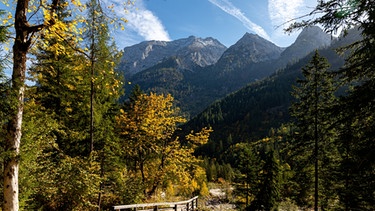 Wanderweg im Nationalpark Berchtesgaden. | Bild: BR/Sylvia Bentele