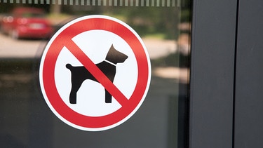 Schild: Hunde verboten. | Bild: stock.adobe.com/studio v-zwoelf