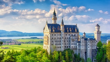 Das Schloss Neuschwanstein. | Bild: stock.adobe.com/gusenych