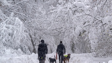 02.12.2023, Bayern, München: Passanten gehen mit Hunden durch die verschneiten Maximiliansanlagen. Foto: Peter Kneffel/dpa +++ dpa-Bildfunk +++ | Bild: dpa-Bildfunk/Peter Kneffel