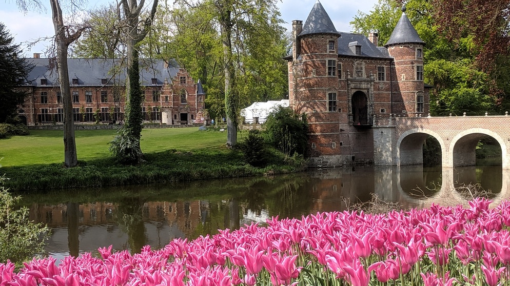 Im Kasteel van Groot-Bijgaarden findet jedes Jahr von Anfang April bis Anfang Mai die Floralia statt | Bild: Julia Schade
