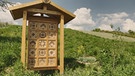 Wildbienenglück - Nisthilfen für Wildbienen mit Judith Fejfar (Langenzenn, Lkr. Fürth)
| Bild: BR / Robert Kumeth