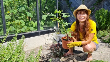 Feigen pflanzen - Tipps von Sabrina | Bild: Bayerischer Rundfunk
