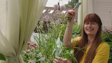 Top 5 der Balkonpflanzen - Tipps von Sabrina | Bild: BR