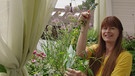 Top 5 der Balkonpflanzen - Tipps von Sabrina | Bild: BR