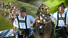 zwei Viehüter halten eine geschmückte Kuh. Im Hintergrund Viehherde beim Almabtrieb | Bild: picture-alliance/dpa; Montage: BR