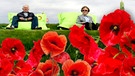 Besucher der landesgartenschau Bamberg sitzen auf einer Wiese hinter Mohnblumen | Bild: colourbox.com; dapd; Montage: BR