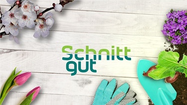 Logo zur Sendung Schnittgut. | Bild: BR