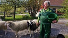 Richard Wiedemann betreut unter anderem die vielen Kühe, Schafe und Esel auf dem Gelände, das er dem Museum verpachtet hat. | Bild: BR