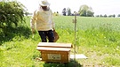 Der High-Tech Bienenstock | Bild: BR