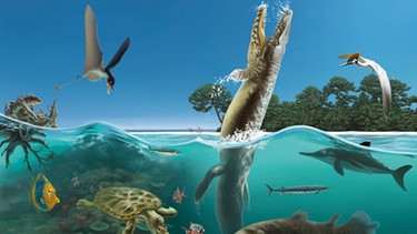 Meeresbewohner im Jura, in der Mitte das riesige Urzeitkrokodil "Dakosaurus" | Bild: Frederik Spindler/Dinosauriermuseum Altmühltal