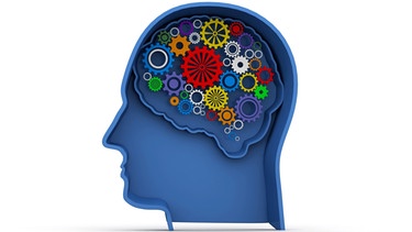 Symbolbild Gehirn | Bild: colourbox.com