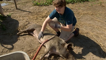 Jannis Oppermann streichelt ein Schwein am Bauernhof | Bild: BR